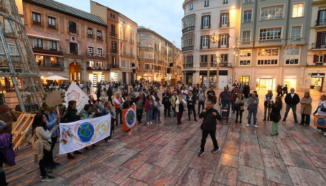 Marcha del 26 de noviembre de 2024, Málaga