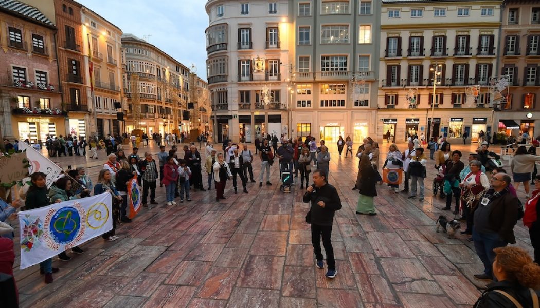 Marcha del 26 de noviembre de 2024, Málaga