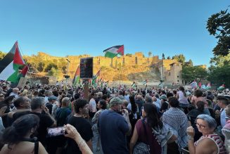 Málaga se moviliza por Gaza: concentración en apoyo a la Flotilla de la Libertad y contra el genocidio